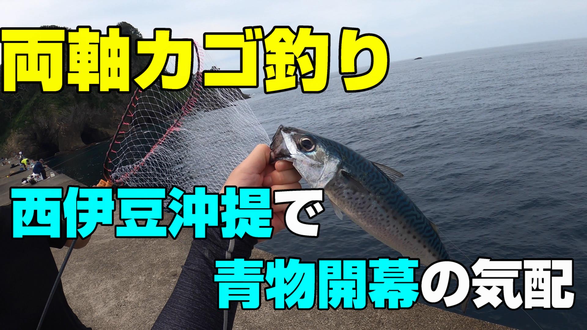 写真 > 道具の話 - 釣活CH！~all field fishing~