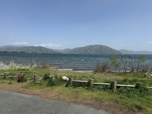 IMG_0809.jpeg