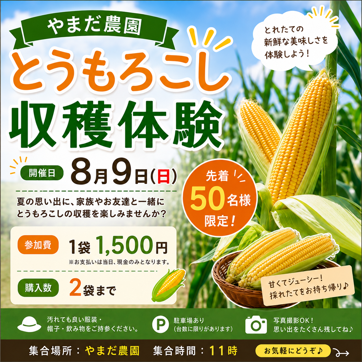 お知らせ - やまだ農園