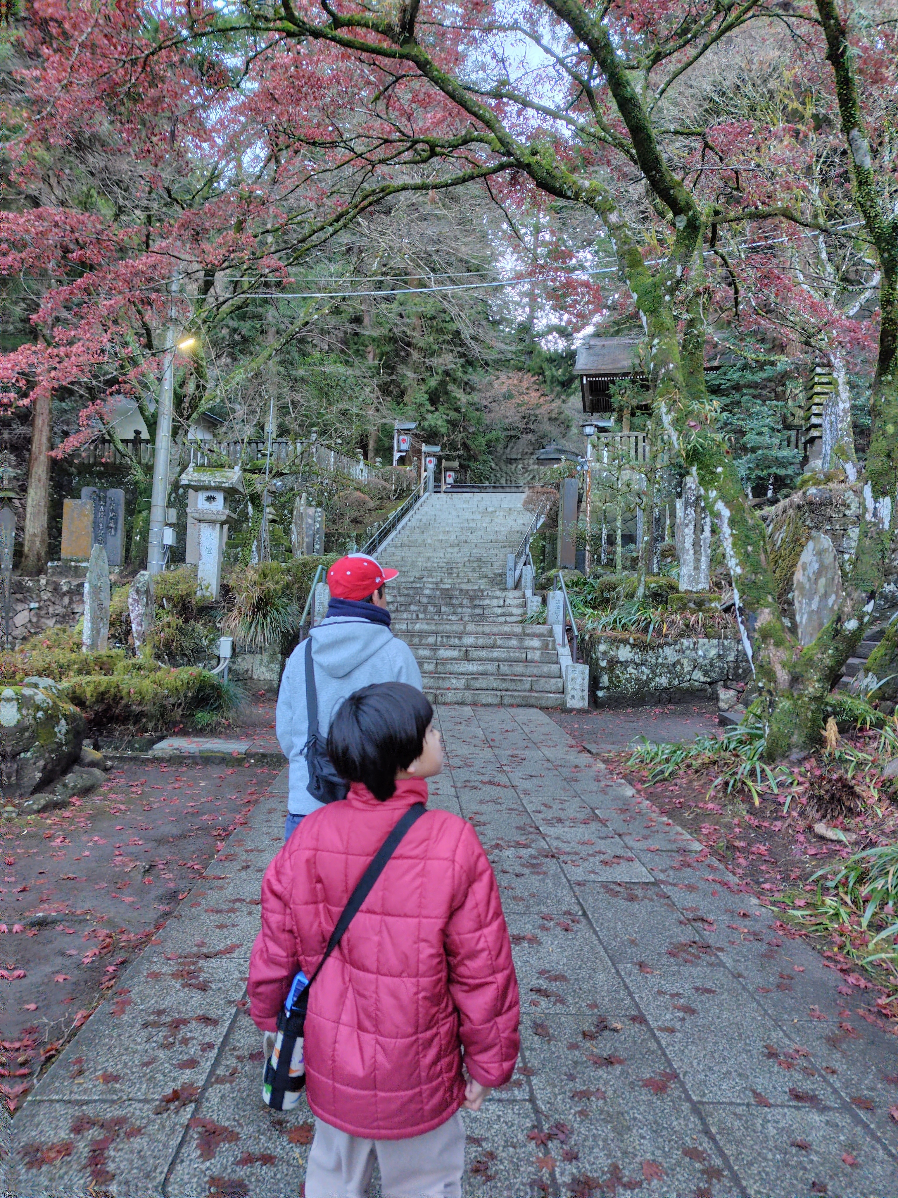 お知らせ - どんぐりん｜NPO法人山北なないろ 児童支援・放課後等デイ
