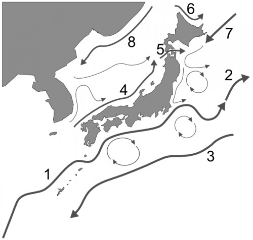 Japan's_ocean_currents.PNG