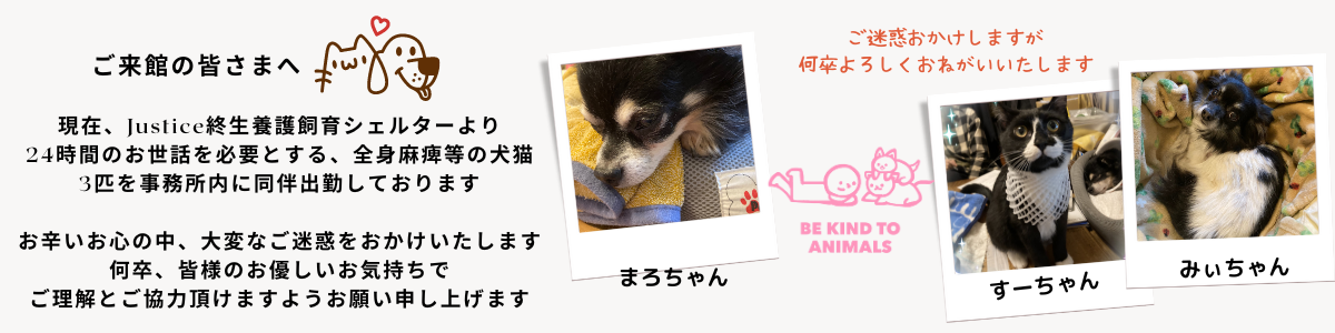 同伴飼育バナー (1).png