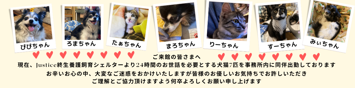 同伴飼育バナー.png