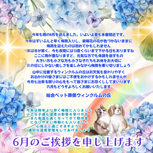 2025年6月のご挨拶 (1).png