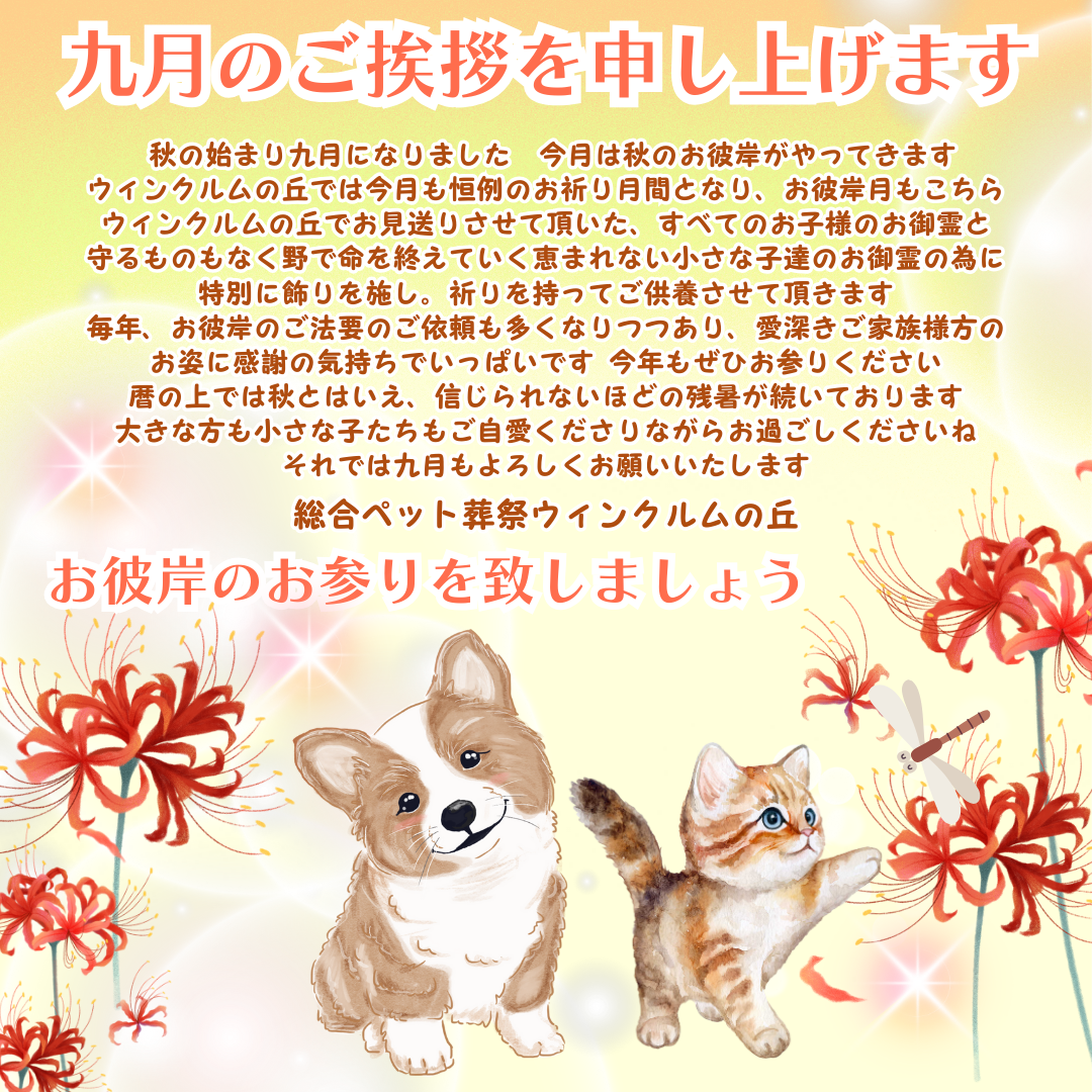 2025年8月のご挨拶のコピー.png