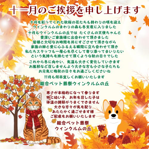 2025年11月のご挨拶.png