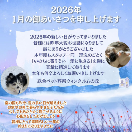 いんすた他2026年一月ご挨拶 (1).jpg
