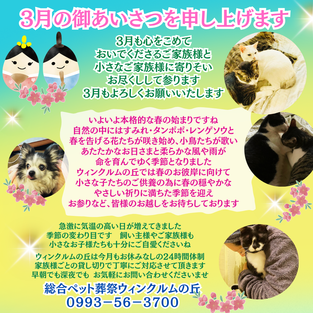 2026年3月ご挨拶 (インスタ).png