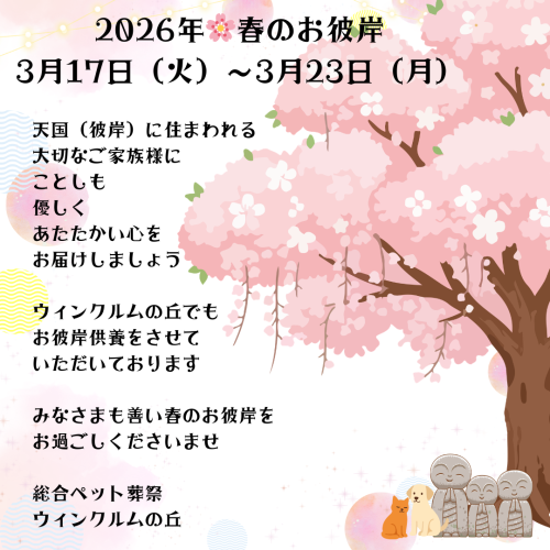 ピンクと黄色 水彩 誕生日 お祝い Instagramの投稿.png