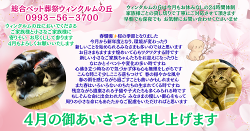 HP・2026年ご挨拶のコピー (1).png