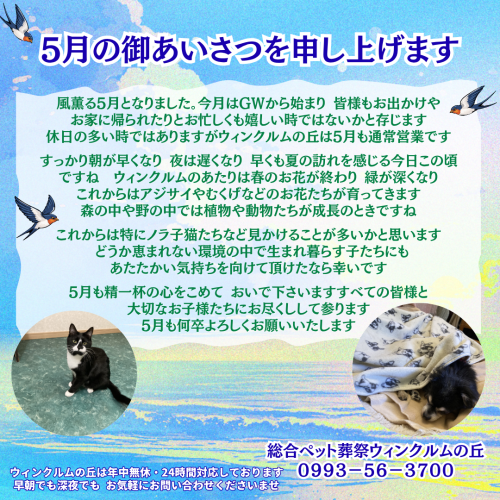 2026年5月ご挨拶 正方形.png