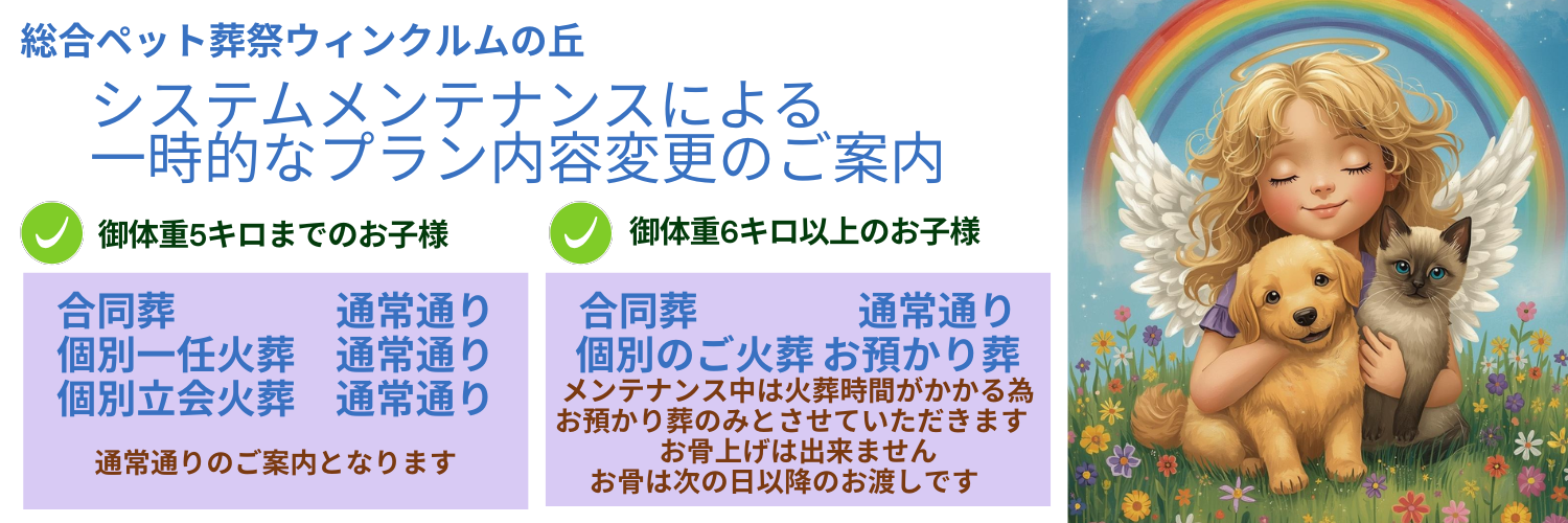 青と紫色 モチベーション ラベンダー 山 Twitterヘッダー Xのコピー.png
