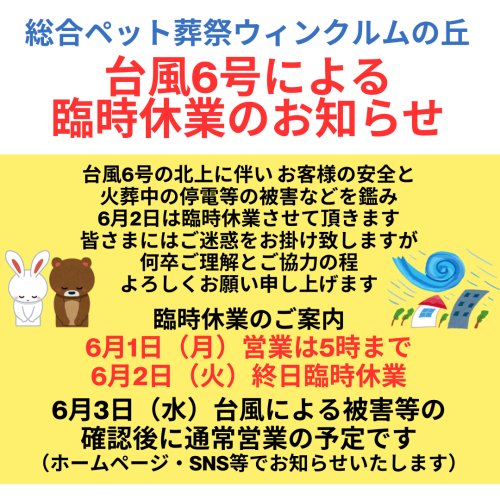 台風お知らせ(Instagramの投稿).png