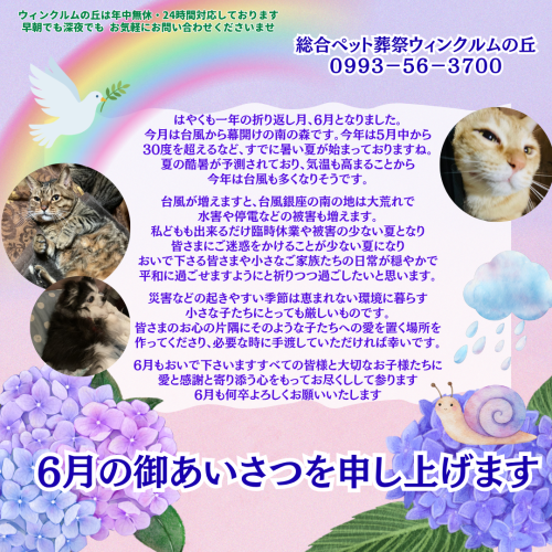 2026・6月あいさつ用インスタ.png