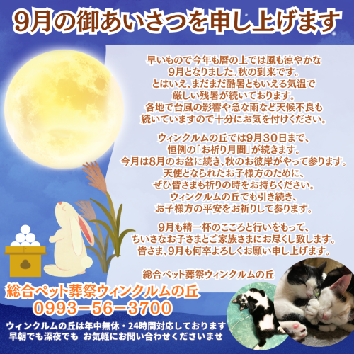 インスタ2026年9月ご挨拶.png