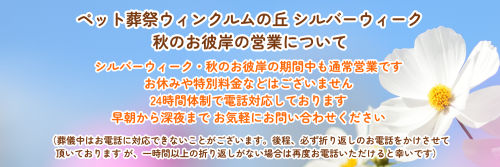 お知らせ・ご案内横長タイプ (1).png