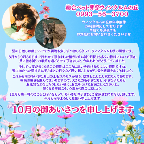 インスタ2026年１０月ご挨拶 (Instagramの投稿).png