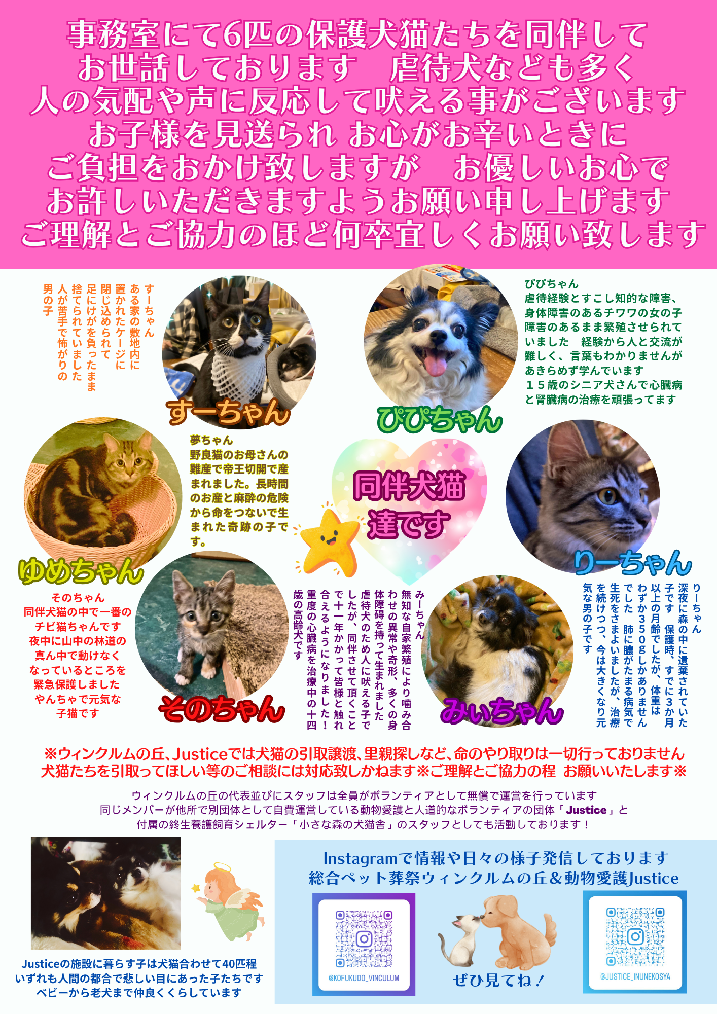 同伴犬猫ポスター.png