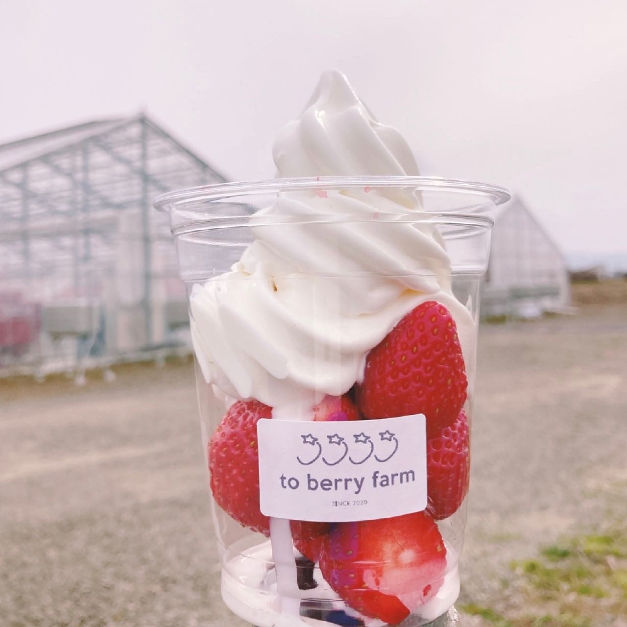 いちごのソフトクリーム