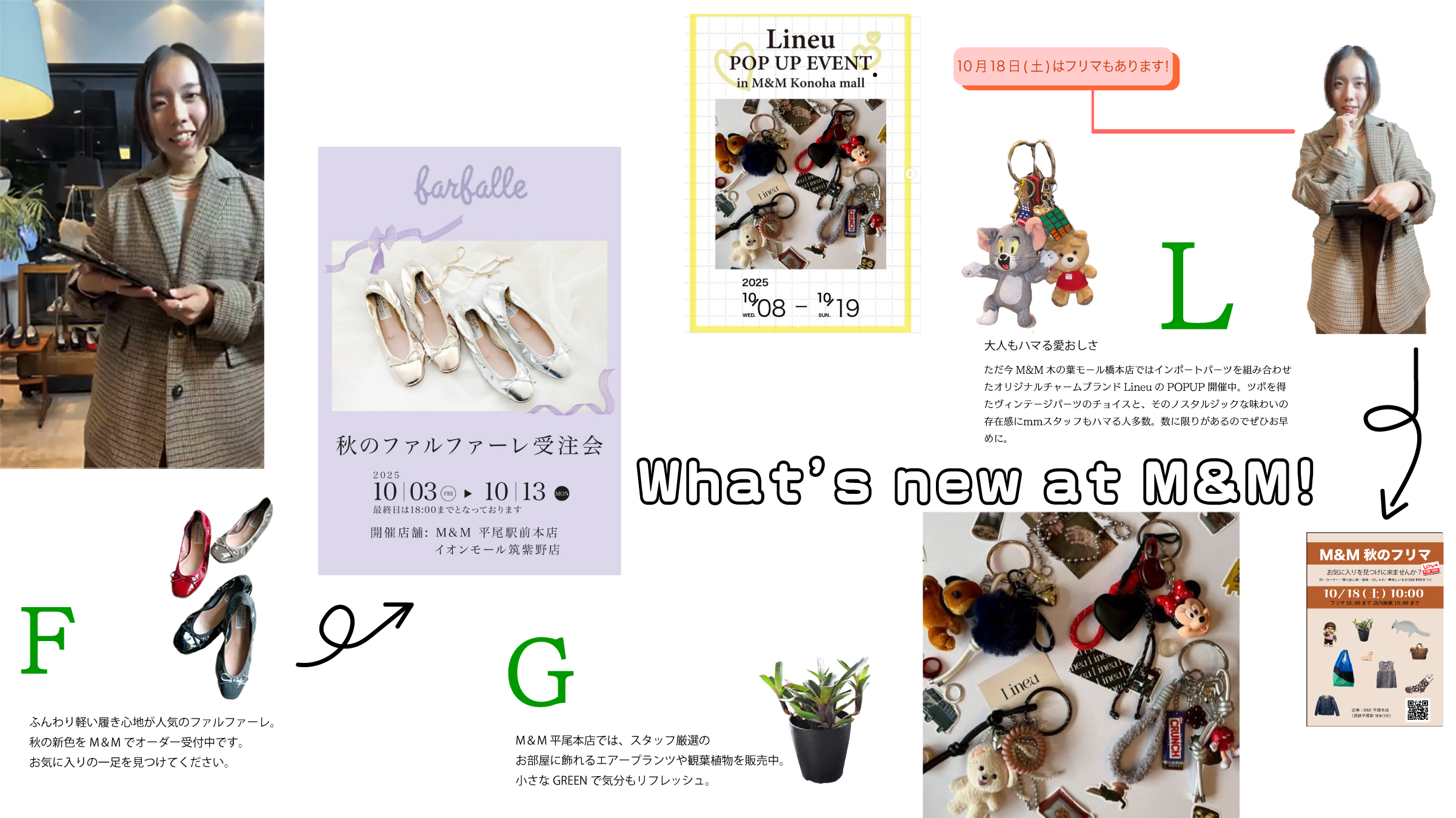 秋のM&Mイベント情報