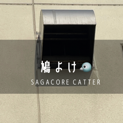C43013BD-E755-4B03-82B2-CC519709008E.png