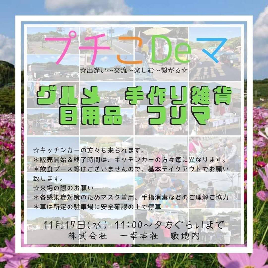 プチこDeマ【鹿児島県南九州市頴娃町群】