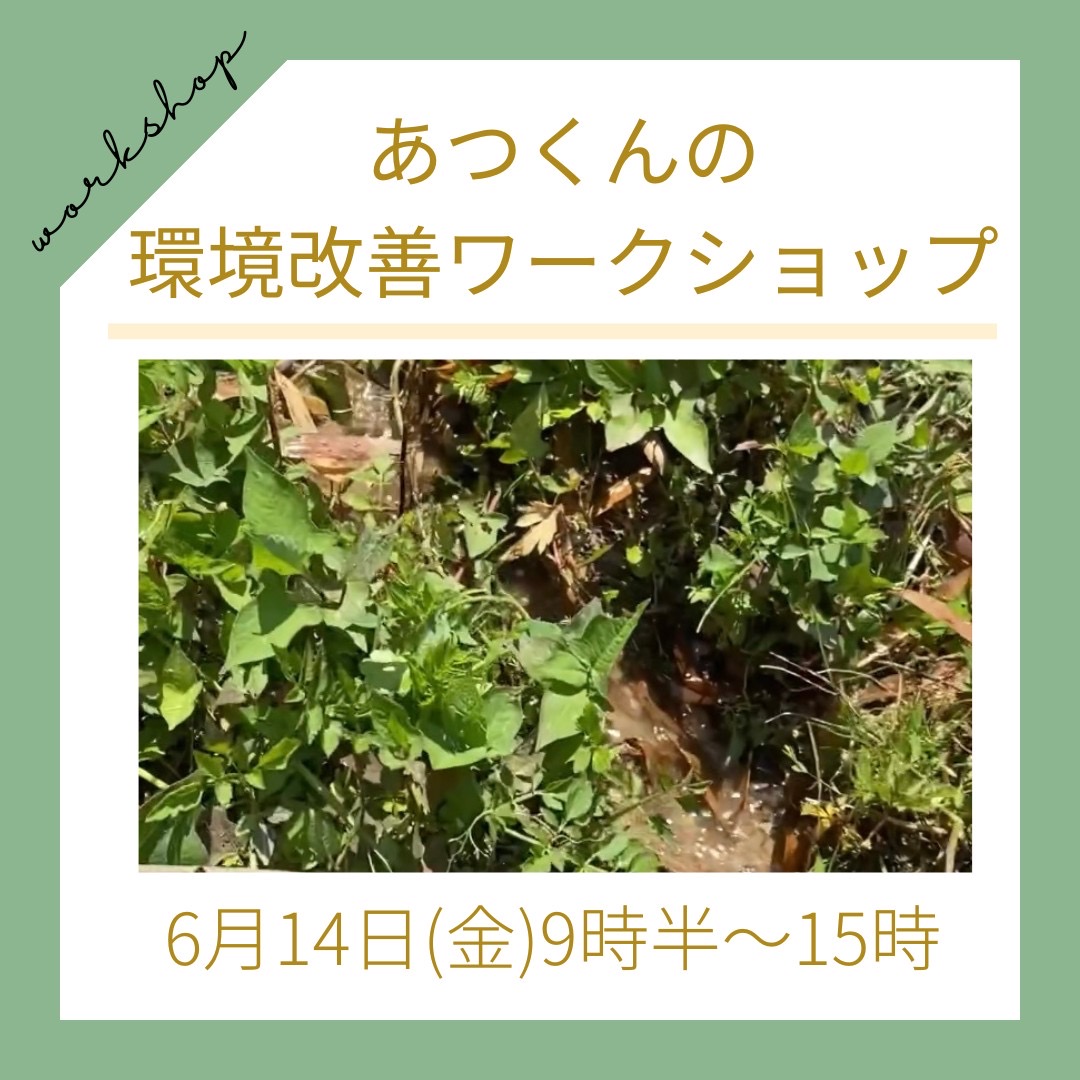 環境改善ワークショップを開催します