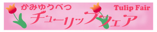 tulipfair.jpg