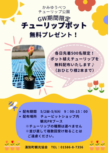 ＧＷ期間限定チューリップポットをプレゼント