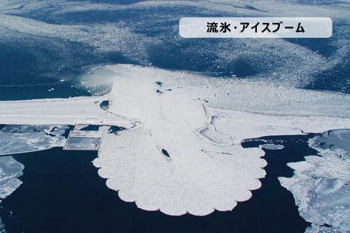 アイスブーム.jpg