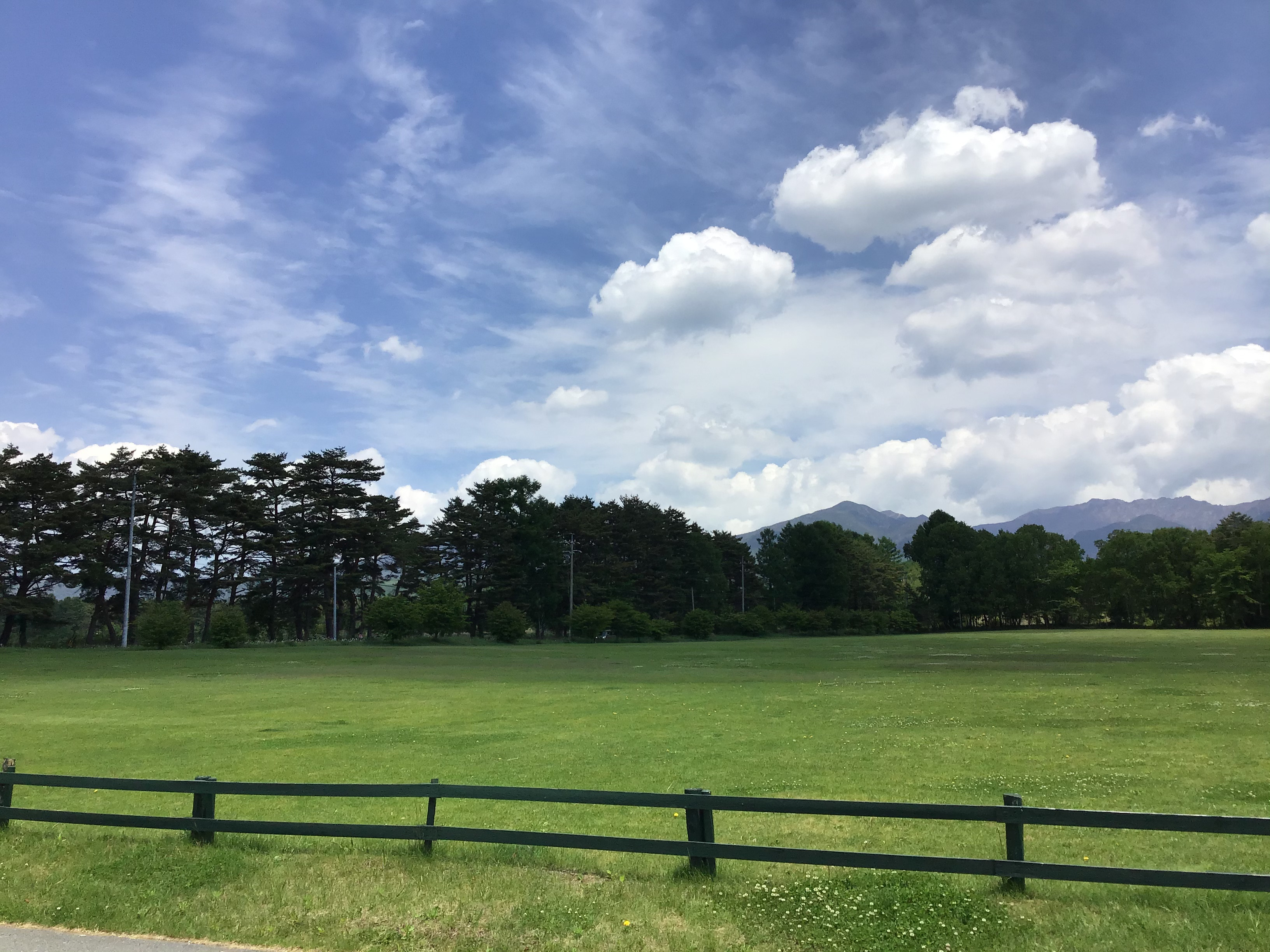 八ヶ岳農場マルシェに出店します❣️