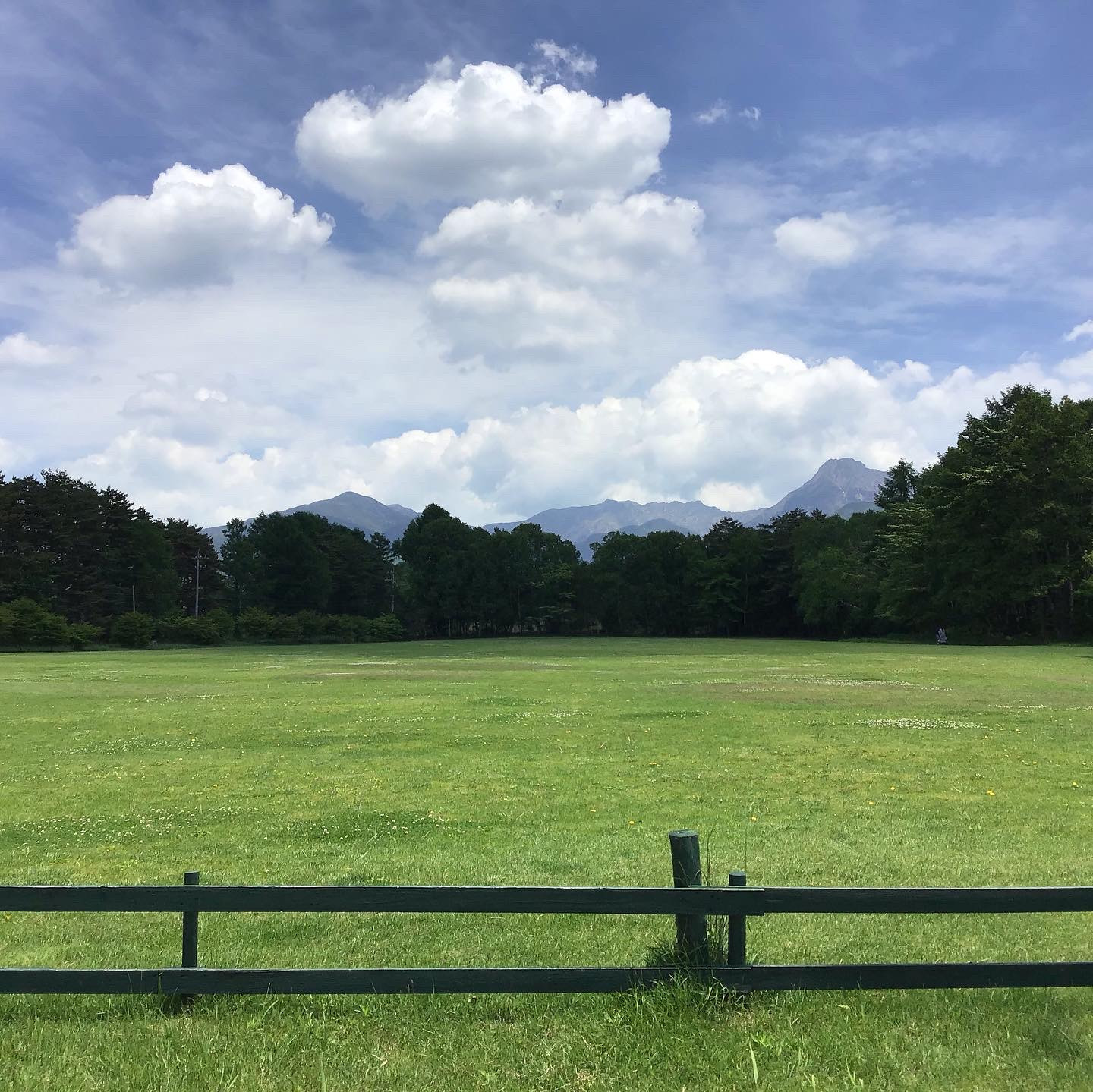 八ヶ岳農場マルシェは雨模様☔️