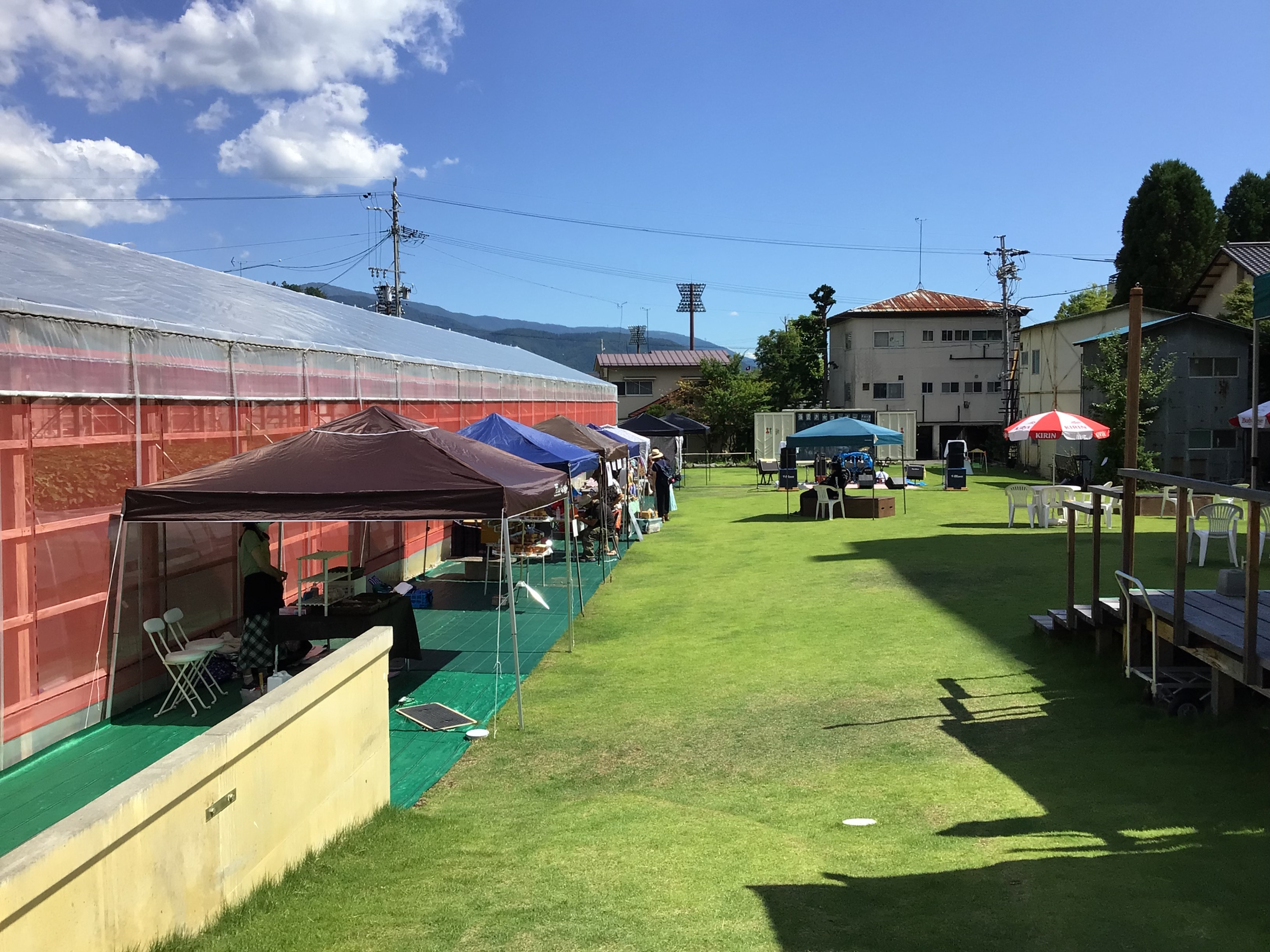 『わいわい広場』は夏真っ盛り☀️