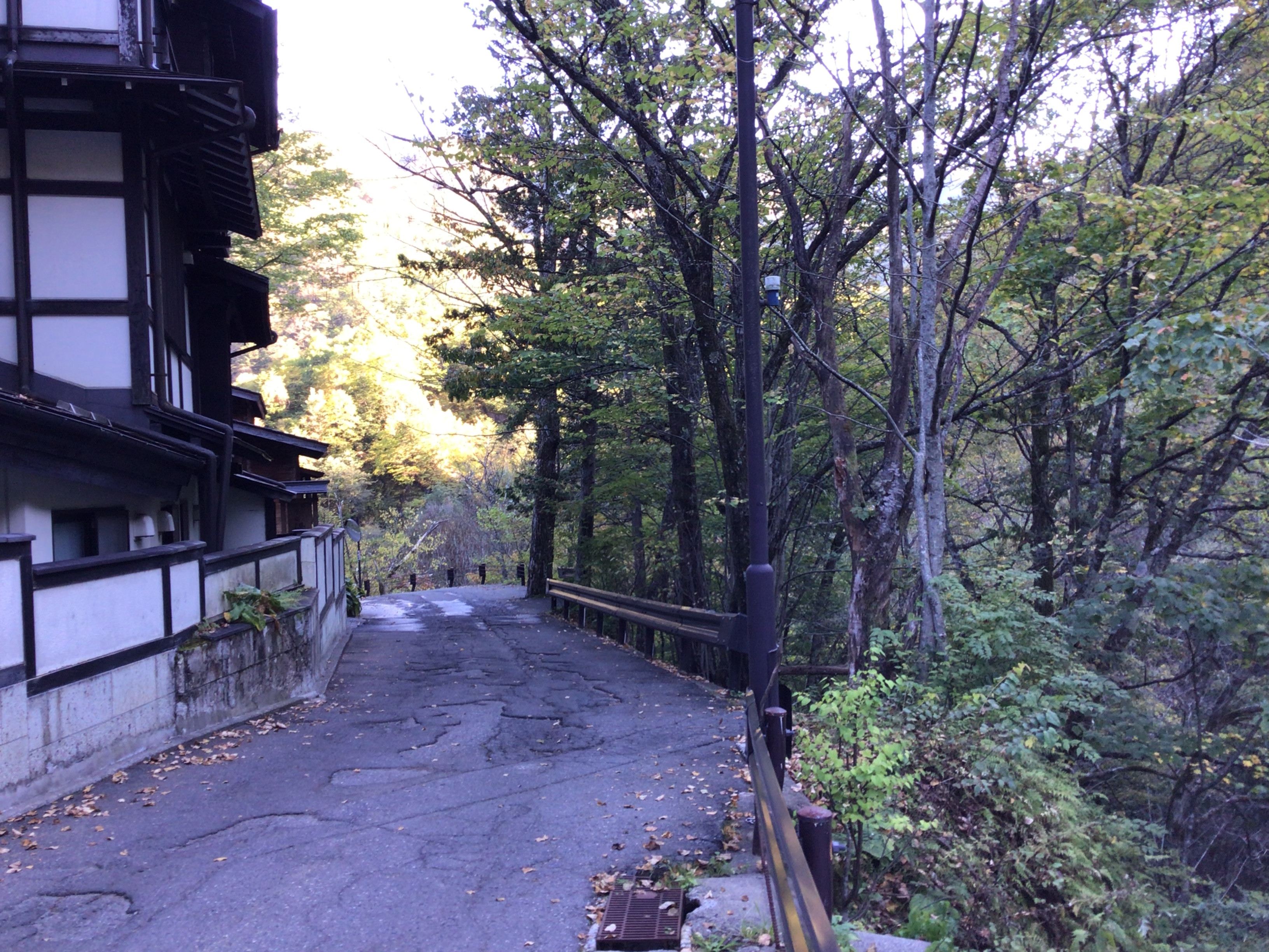 食欲の秋になりました🍁