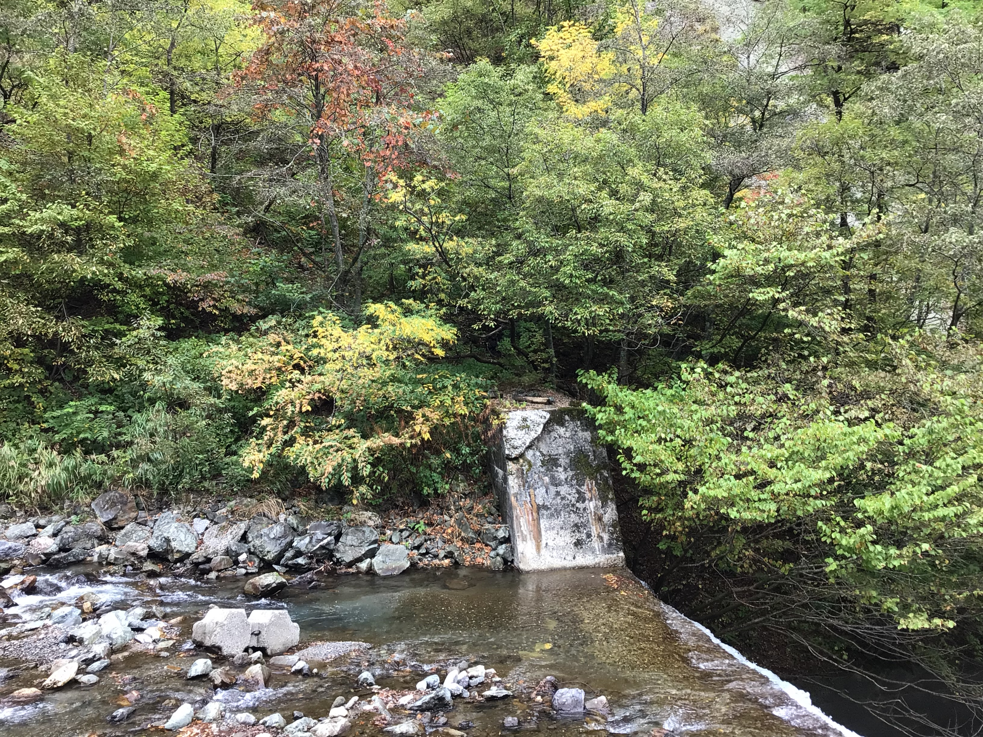 山の上はもう冬が近い⁉️