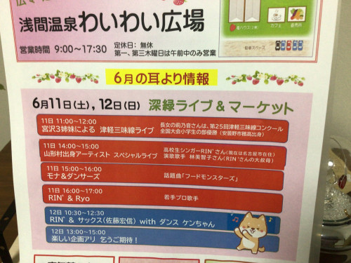 「チャレステしもすわ」とわいわい広場のライブイベントに出店❣️