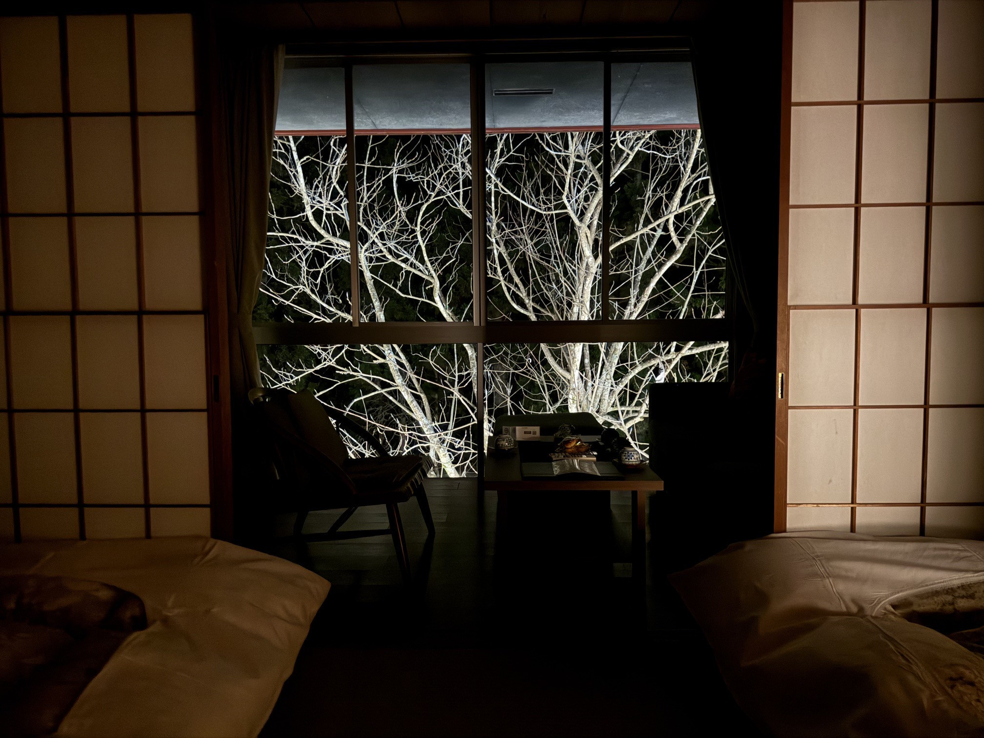 客室からの景色