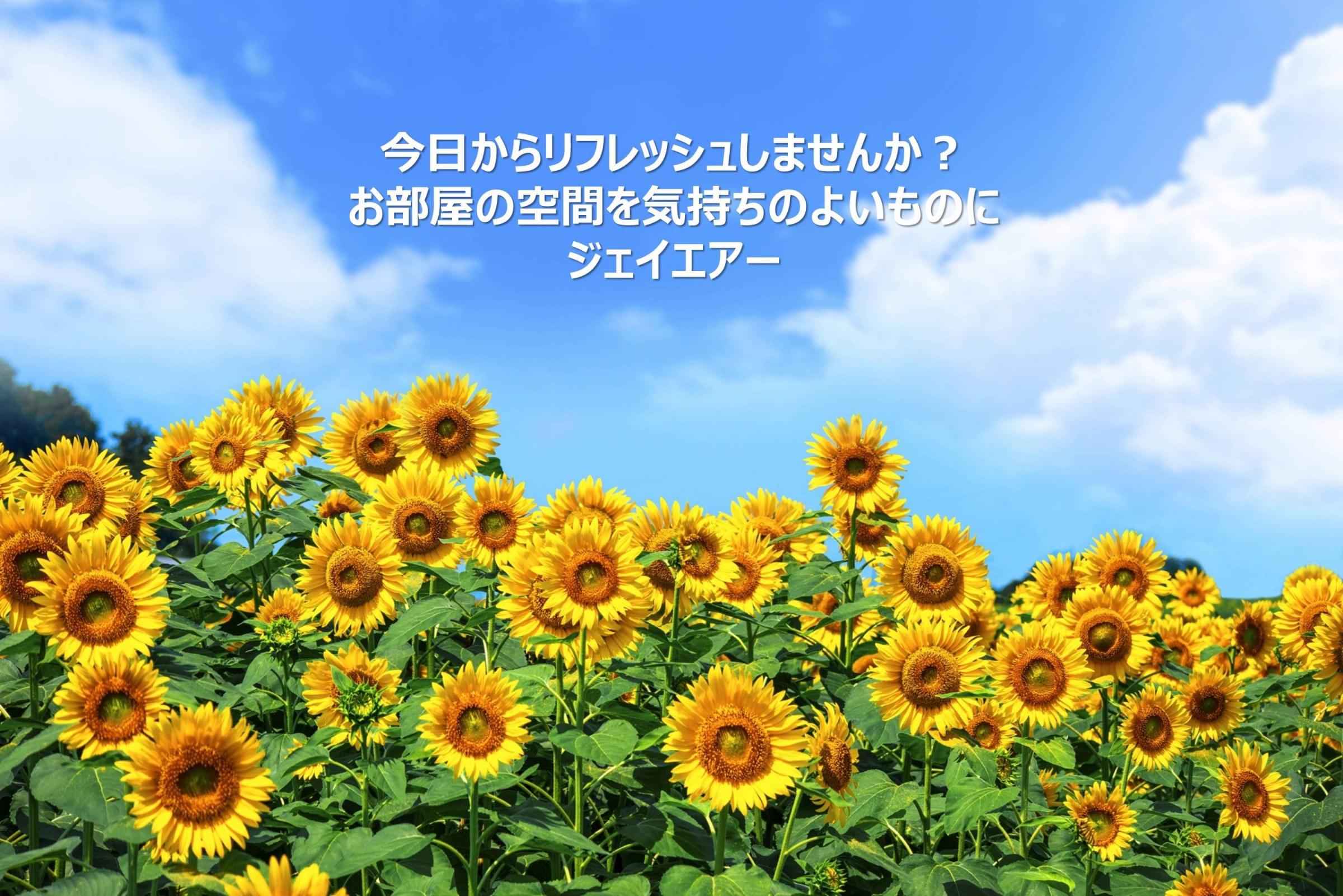 アレバ Net アレバドットネット