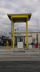 DSC_1514.jpg