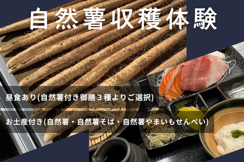 自然薯収穫体験のご予約開始