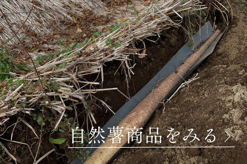 自然薯商品をみる