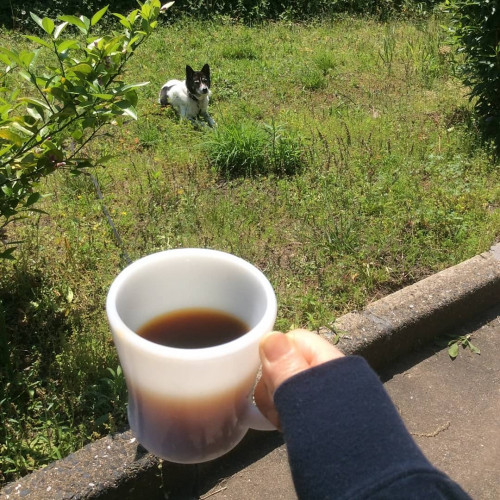 KAICOさんにて「青空タロット」