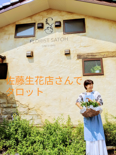 鳥栖市佐藤生花店さんでタロット