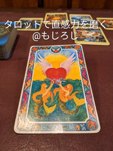 1650948286284.jpg