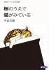kinoue-cdrom.jpg