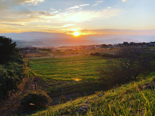 天池から見える棚田の夕暮れ.jpg