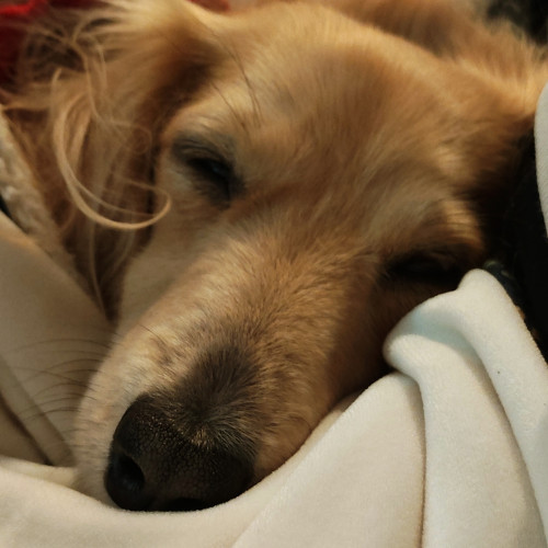 2026年1～2月の営業予定