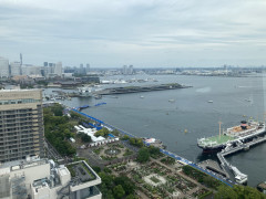 IMG_7525.jpg