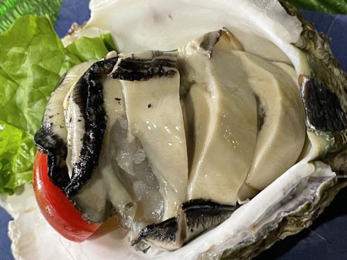 長崎県五島列島の岩牡蠣