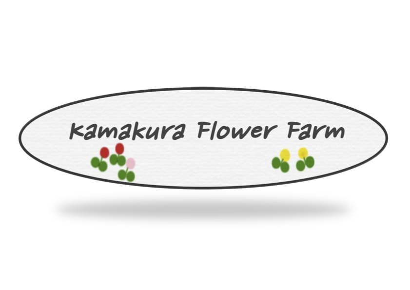 Kamakura flower Farm ロゴ2のコピー.png